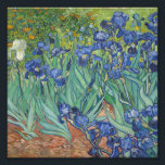 Impression Photo Vincent Van Gogh - Irises<br><div class="desc">Vincent Van Gogh - Irises</div>