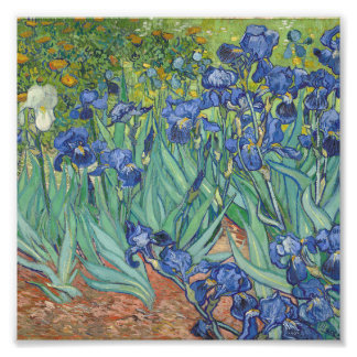 Impression Photo Vincent Van Gogh - Irises