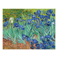 Vincent Van Gogh - Irises