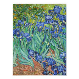Impression Photo Vincent Van Gogh - Irises