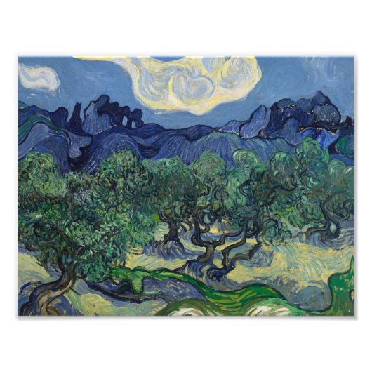 Impression Photo Vincent van Gogh - Les oliviers (Devant)