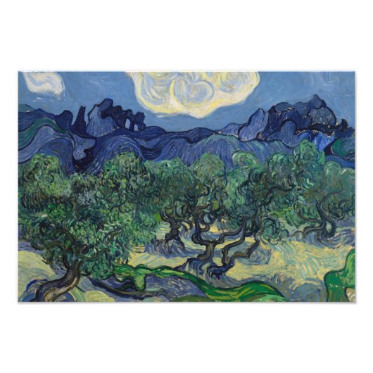 Impression Photo Vincent van Gogh - Les oliviers (Devant)