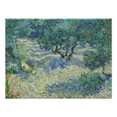 Impression Photo Vincent van Gogh - Olive Orchard (Devant)