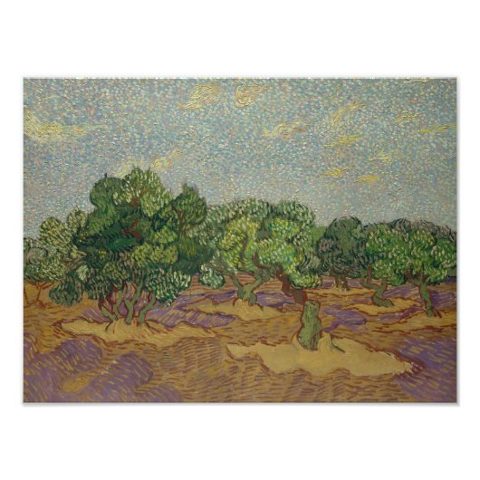 Impression Photo Vincent van Gogh - Olive Trees (Devant)