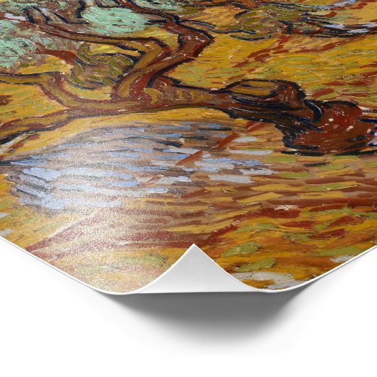 Impression Photo Vincent van Gogh - Olive Trees (Coin)