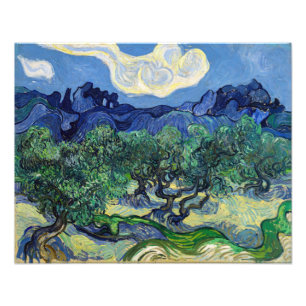Impression Photo Vincent van Gogh - Oliviers avec les Alpilles