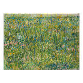 Impression Photo Vincent van Gogh - Patch d'herbe (Devant)
