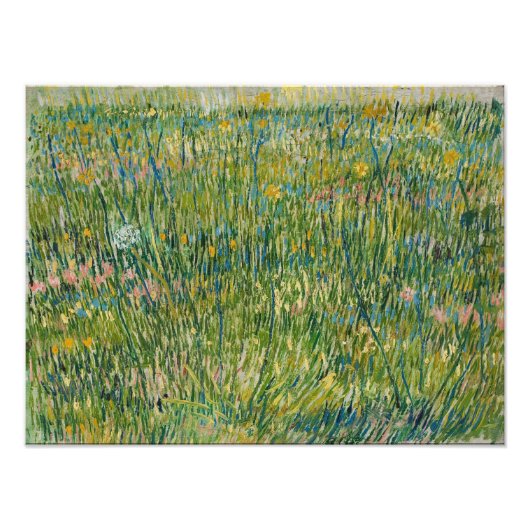 Impression Photo Vincent van Gogh - Tache d'herbe (Devant)
