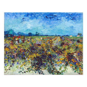 Impression Photo Vincent van Gogh - Vignoble vert