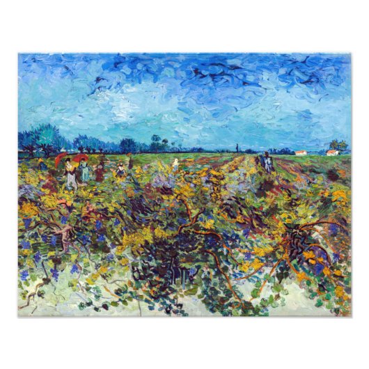 Impression Photo Vincent van Gogh - Vignoble vert (Devant)