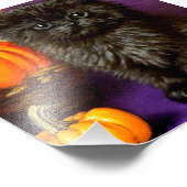 Impression Photo Vintage Halloween Kitten (Coin)