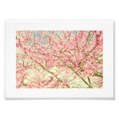 Impression Photo Vintage Printemps fleurs (Devant)