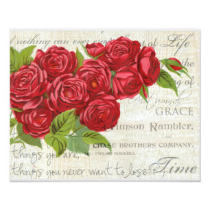 Impression Photo Vintage Shabby Chic Roses Rouges Antique Script