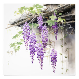 Impression Photo Violet Floral Nature
