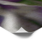 Impression Photo Violons violets et blancs par Shirley Taylor (Coin)