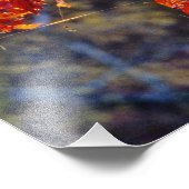 Impression Photo Virginia Creeper rouge vif en automne à (Coin)