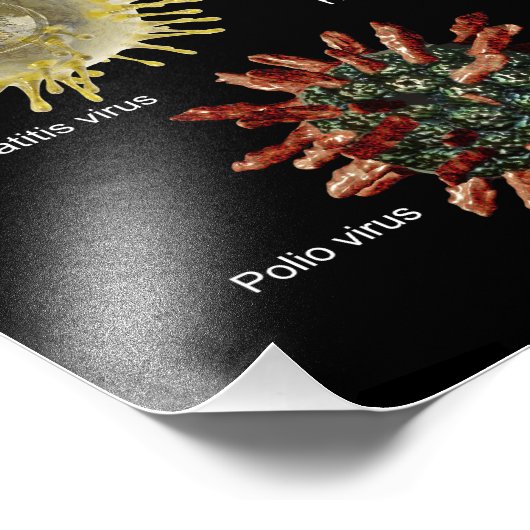 Impression Photo Virus (Coin)