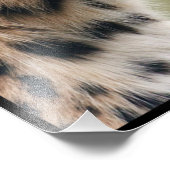 Impression Photo Visage de Cheetah (Coin)
