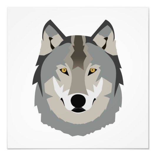 Impression Photo Visage de loup gris mignon et Cool, animal illustr (Devant)