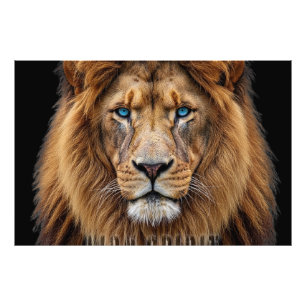 Impression Photo Visage majestueux de lion aux yeux bleus Faune A