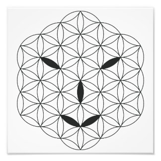 Impression Photo Visage sacré - Arcturian 02, Black-Tr.