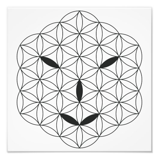 Impression Photo Visage sacré - Arcturian 02, Black-Tr. (Devant)