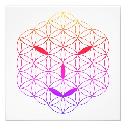 Impression Photo Visage sacré - Arcturien 02, CF-Tr. (Devant)