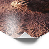 Impression Photo Vitesse (Coin)