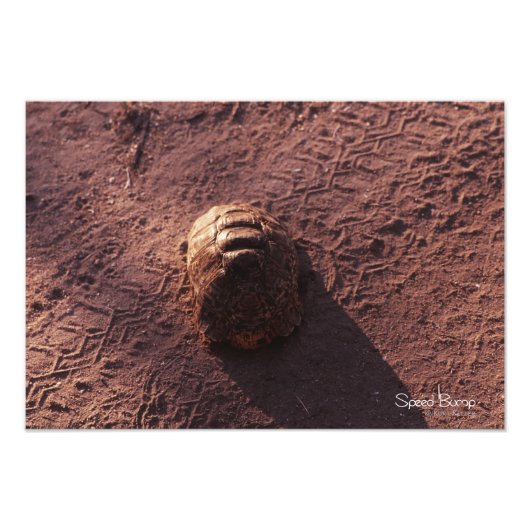 Impression Photo Vitesse (Devant)