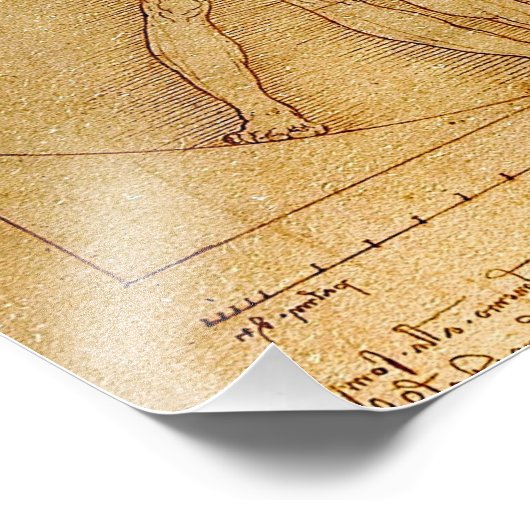 Impression Photo Vitruvian Man-Leonardo Da Vinci (Coin)
