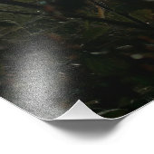 Impression Photo Voir grand dans petit (Coin)