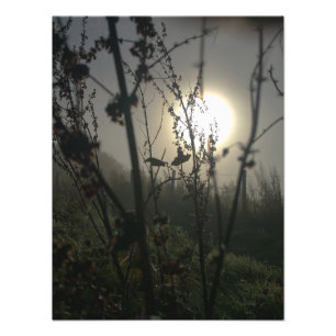 Impression Photo Voir grand dans petit