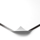 Impression Photo Vol d'aigle à tête blanche (Coin)