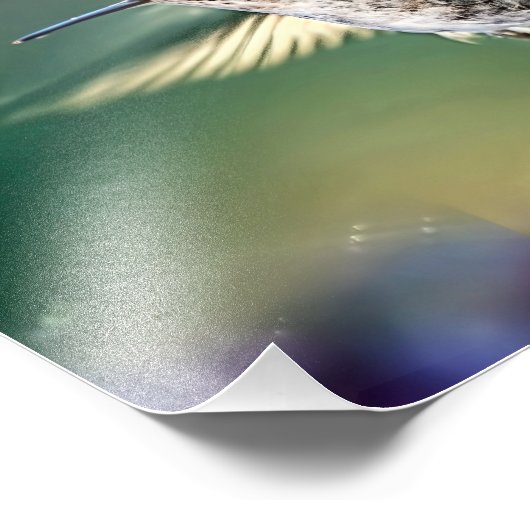 Impression Photo Vol de colibri (Coin)