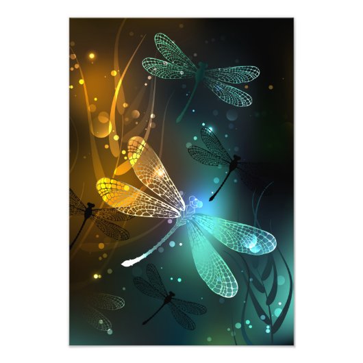 Impression Photo Vol de libellule verte lumineuse (Devant)