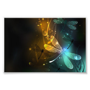 Impression Photo Vol de libellule verte lumineuse