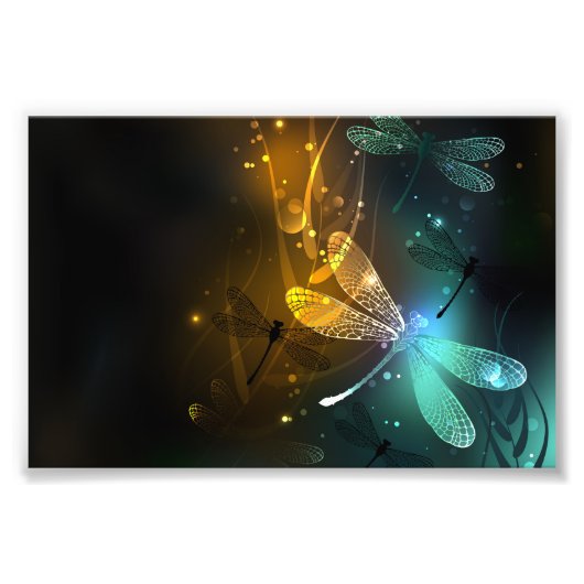 Impression Photo Vol de libellule verte lumineuse (Devant)