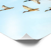 Impression Photo Vol de Mallards (Coin)