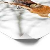 Impression Photo Vol Hawk (Coin)