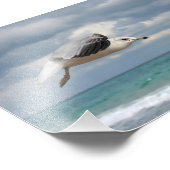 Impression Photo Vol Seagull (Coin)