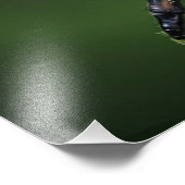 Impression Photo Voler (Coin)