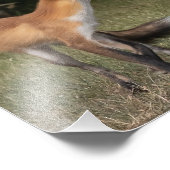 Impression Photo Vous Avez Une Menthe ? (Coin)