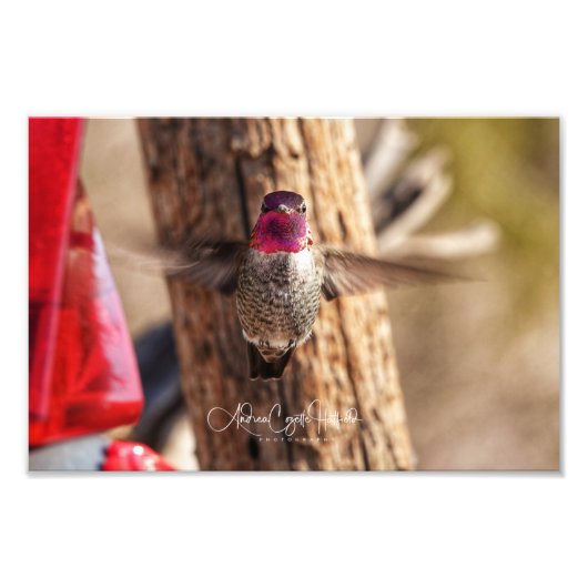 Impression Photo Vous regarder (Devant)