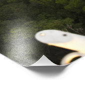 Impression Photo Vue aérienne de la forêt tropicale. Réserve d'Iwok (Coin)