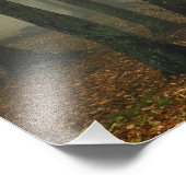 Impression Photo Vue d'automne de la forêt de brouillard, Grand-pèr (Coin)