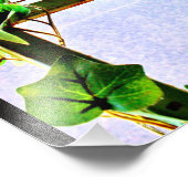 Impression Photo Vue feuille (Coin)
