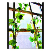 Impression Photo Vue feuille (Devant)