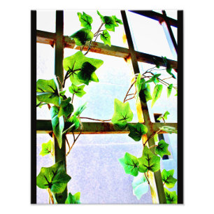 Impression Photo Vue feuille