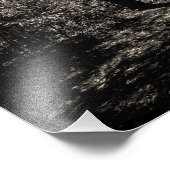 Impression Photo Vue sur le parc central de l'automne noir et blanc (Coin)