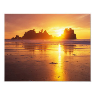 Impression Photo WA, parc national Olympique, plage Shi Shi au couc